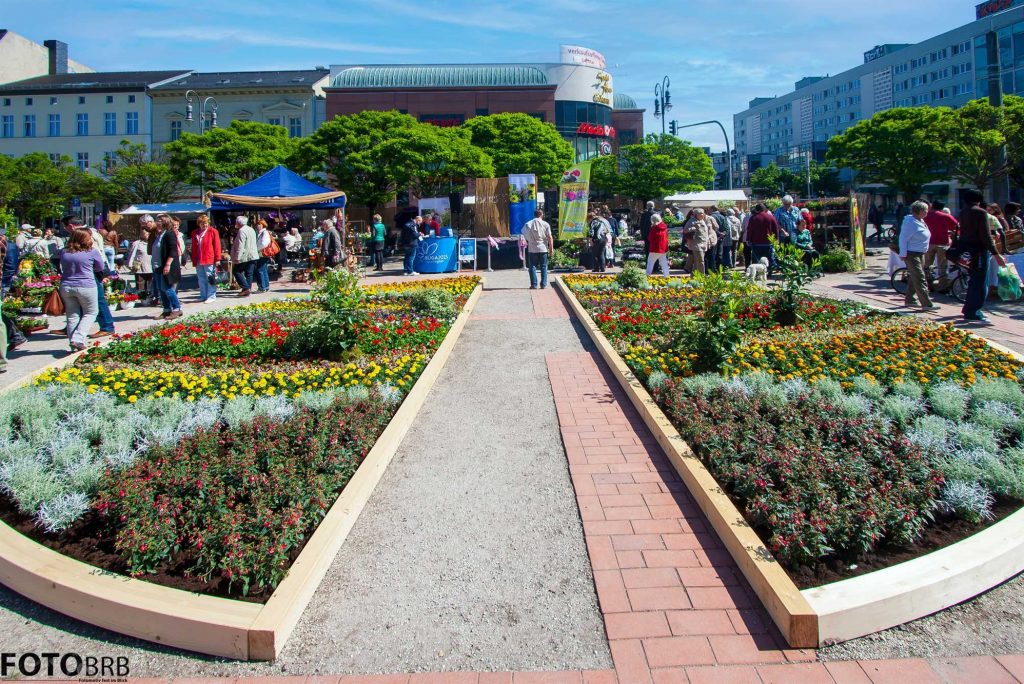 Garten-Markt auf dem Molkenmarkt