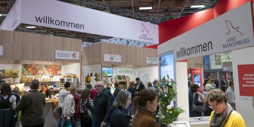 Brandenburg-Halle 2020