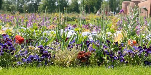 Laga 2019 Wittstock/Dosse