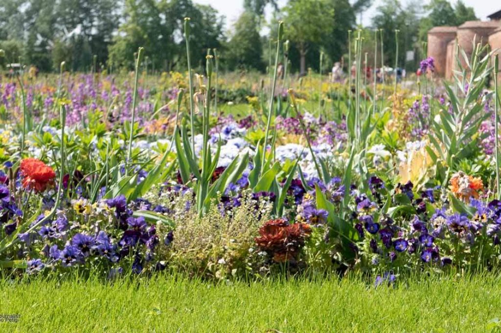 Laga 2019 Wittstock/Dosse