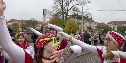 Narrenschaft in der Havelstadt