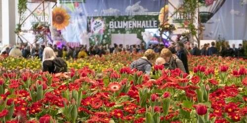 Blumenhalle auf der IGW