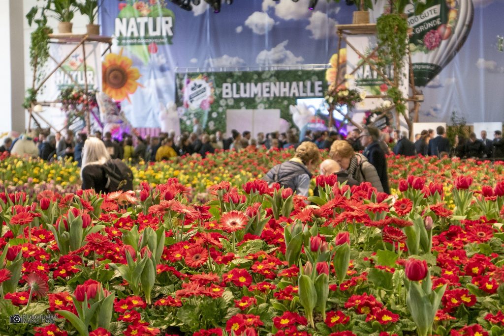 Blumenhalle auf der IGW