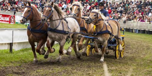 12. Auflage der „Titanen der Rennbahn“ in Brück