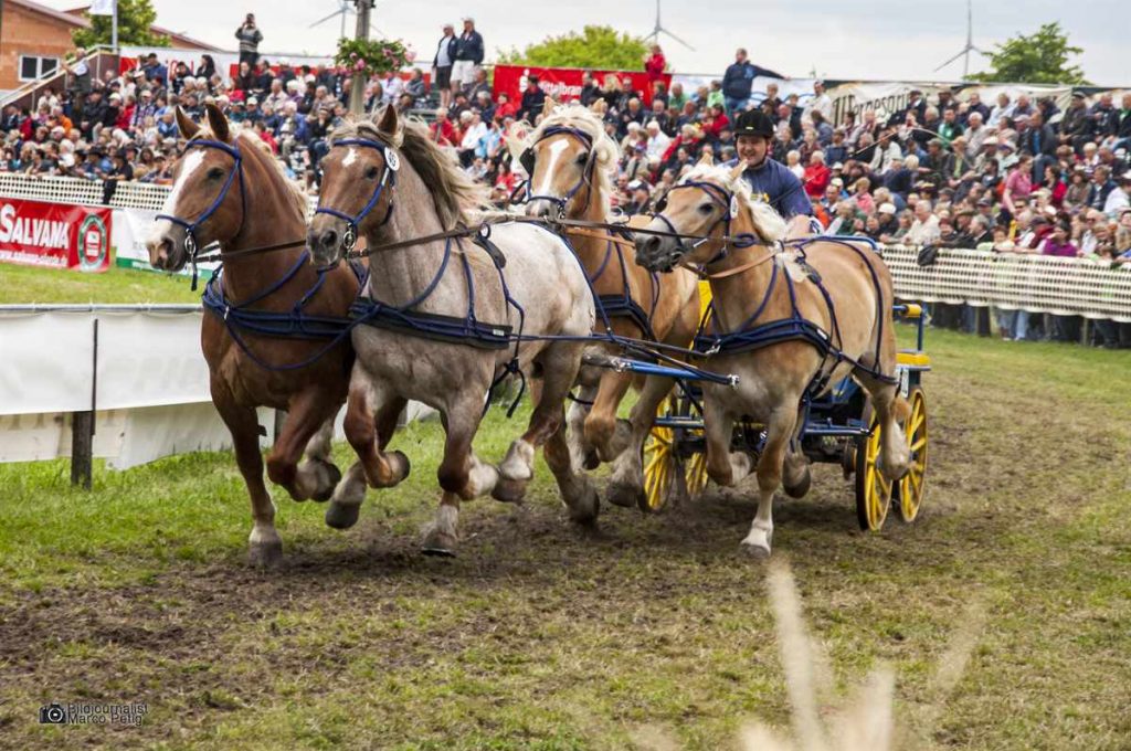 12. Auflage der „Titanen der Rennbahn“ in Brück