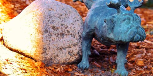 „Waldmops-Bande“