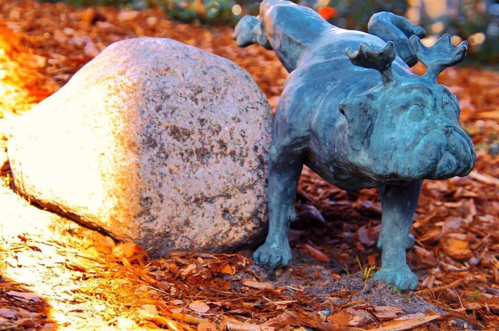 „Waldmops-Bande“