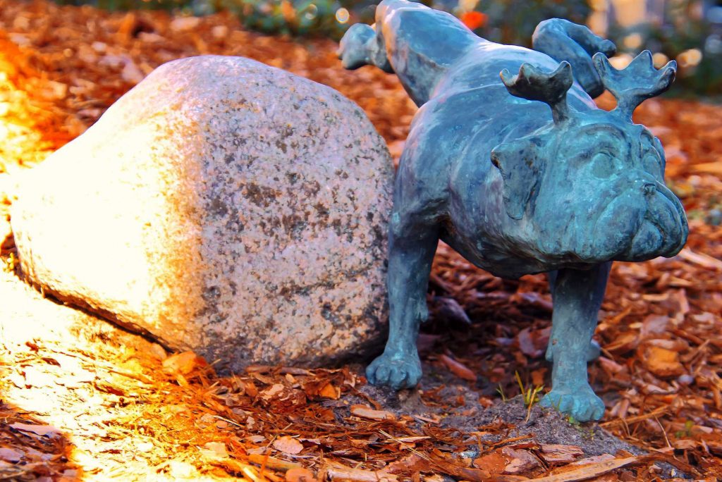 „Waldmops-Bande“