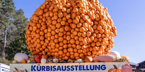 Kürbisausstellung Berlins und Brandenburgs steht in den Startlöchern – und präsentiert 2025 ein ganz besonderes Motto: „Power Frauen“.