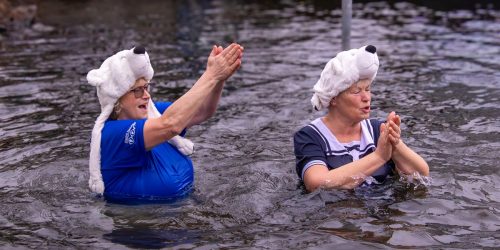 Brandenburger Eisbären stürzen sich in die Havel