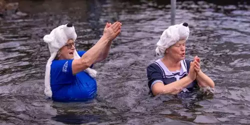 Brandenburger Eisbären stürzen sich in die Havel
