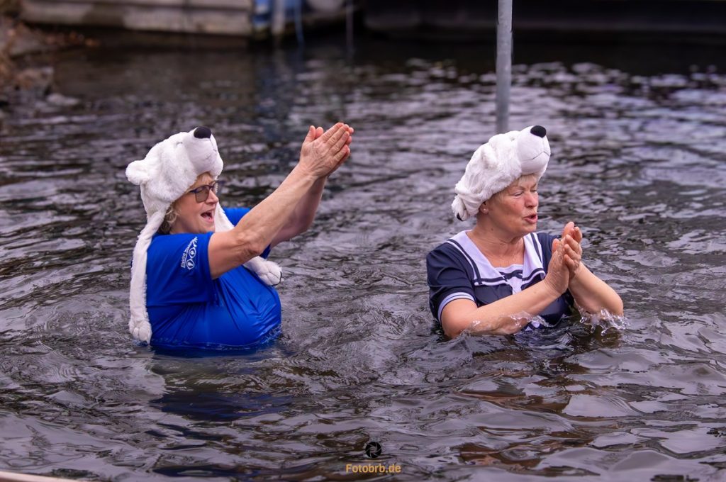Brandenburger Eisbären stürzen sich in die Havel