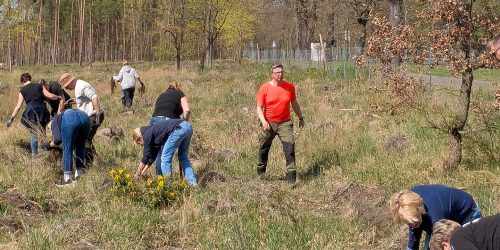 Die engagierten Mitarbeiterinnen und Mitarbeiter der Brandenburger Bank bepflanzten mit viel Fleiß einen etwa 300 Meter langen Waldrand am Schmöllner Weg. © Stadt Brandenburg an der Havel/Stadtforst