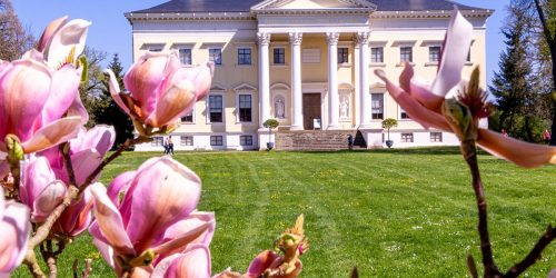 Schloss im Wörlitzer Landschaftsgarten